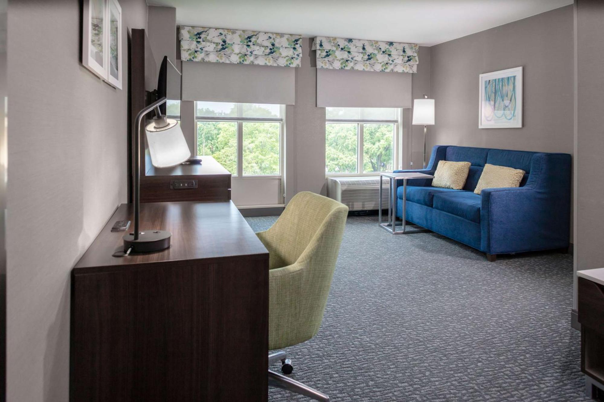 One-Bedroom King Suite Non-Smoking