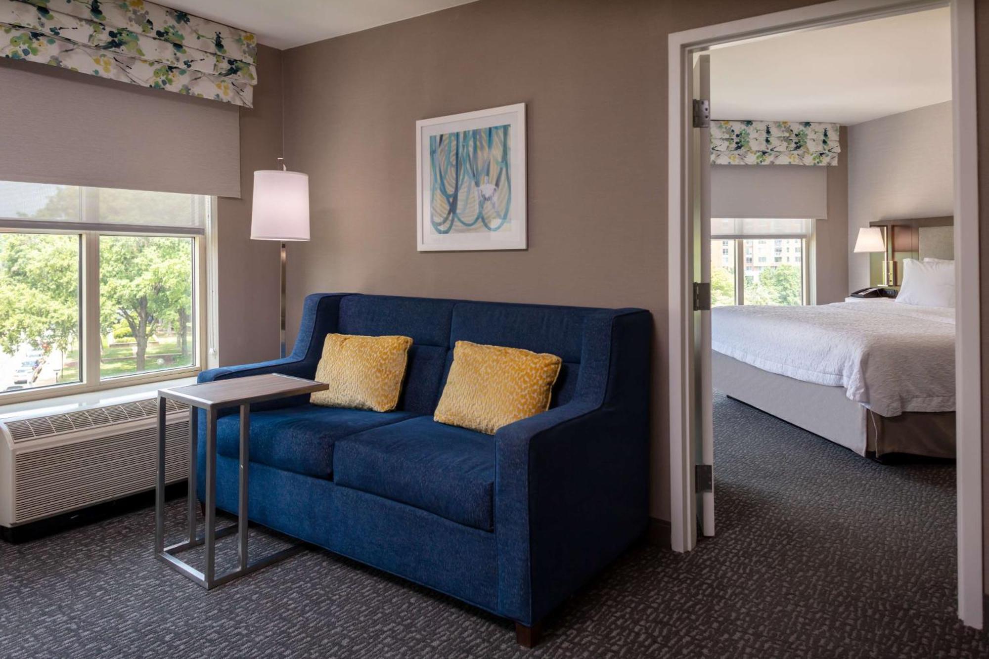 One-Bedroom King Suite Non-Smoking
