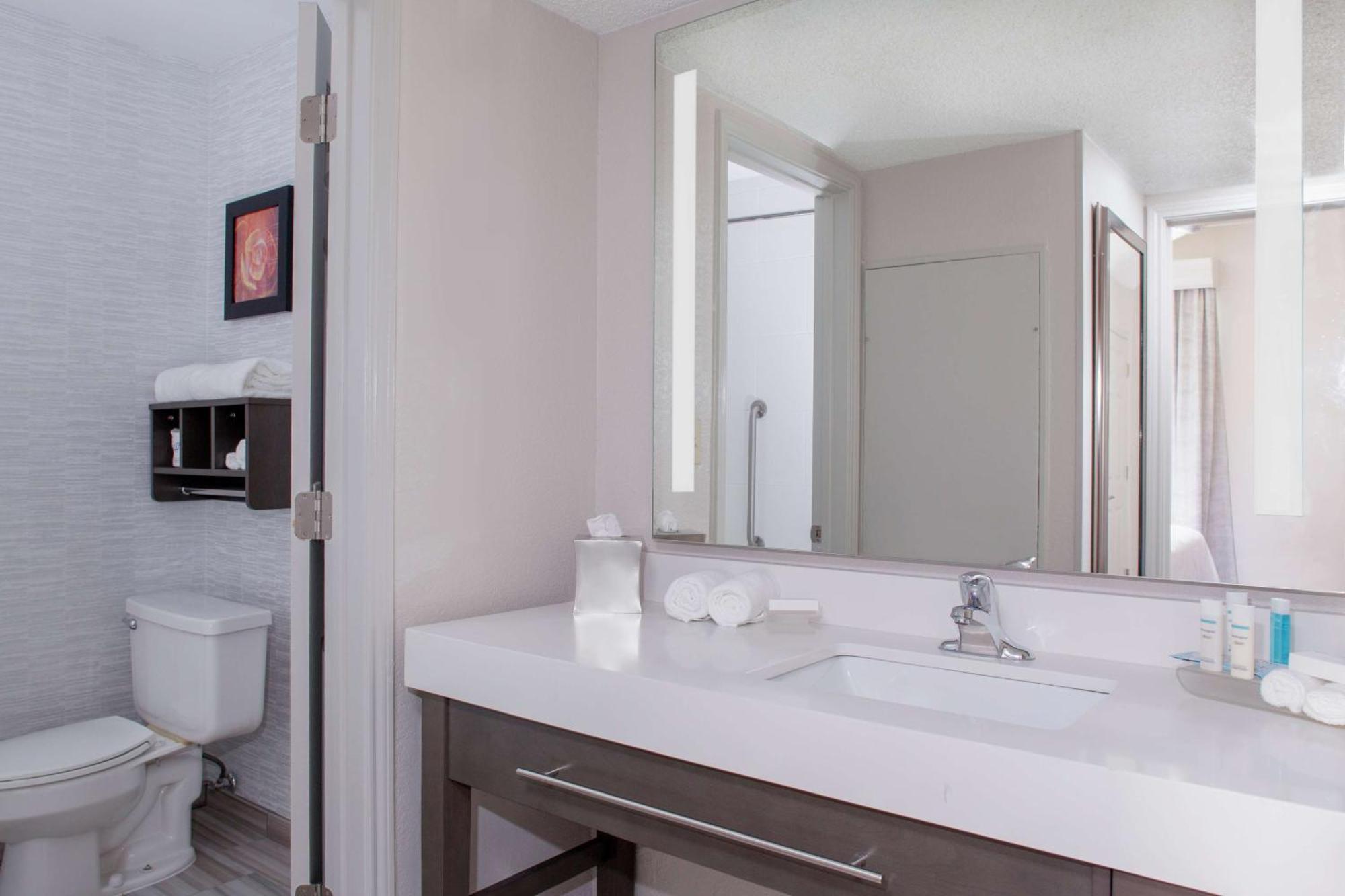 One-Bedroom King Suite - Non-Smoking