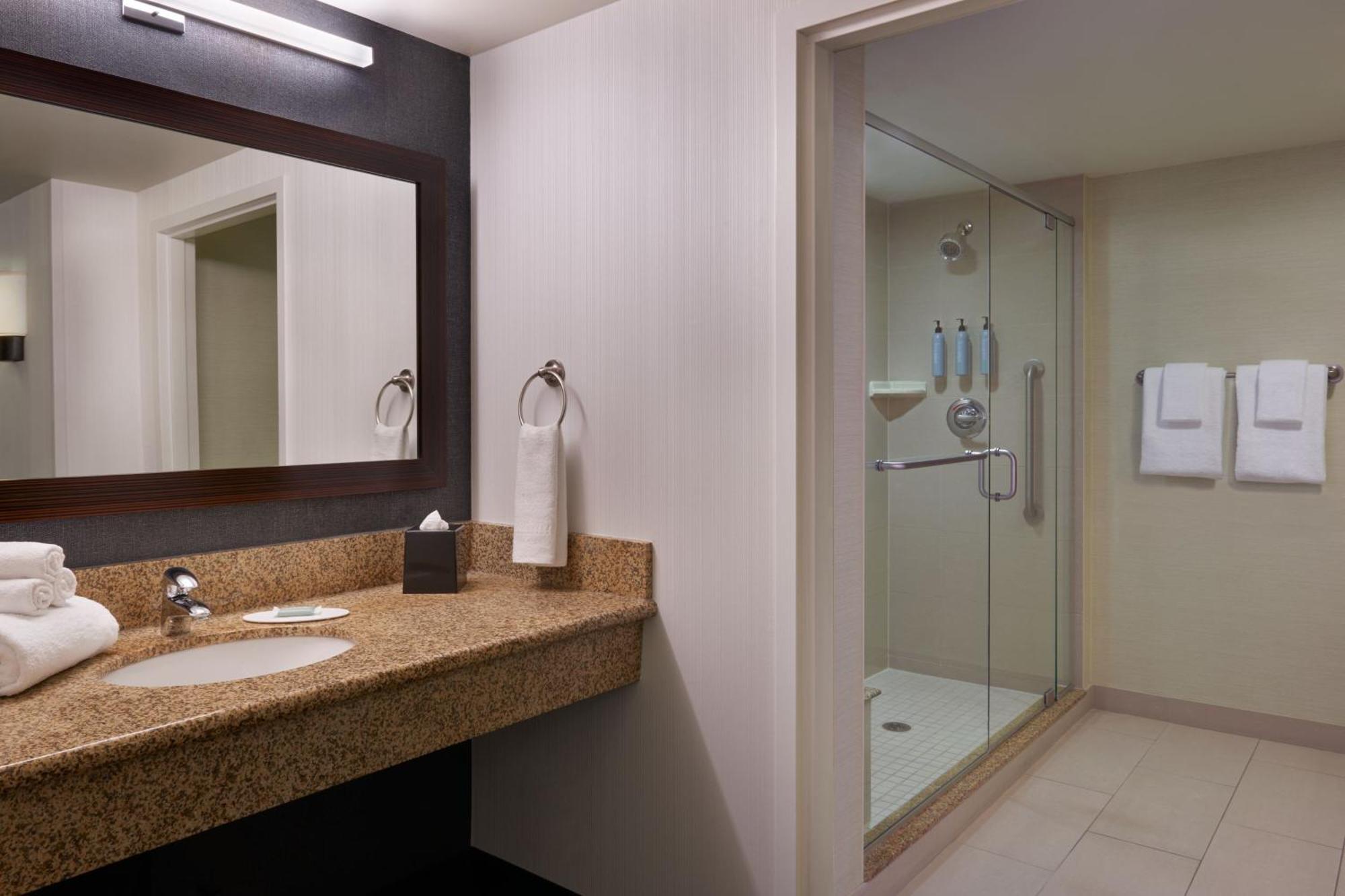 One-Bedroom King Suite