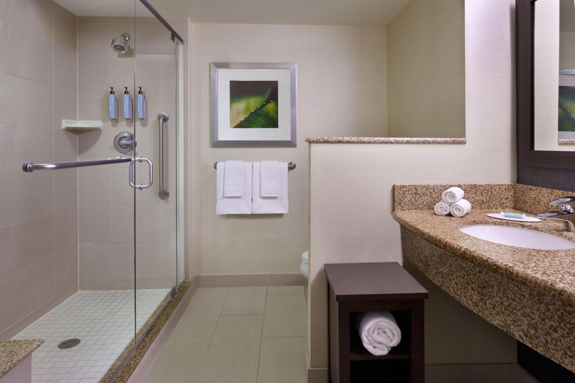 Guest room, 1 King