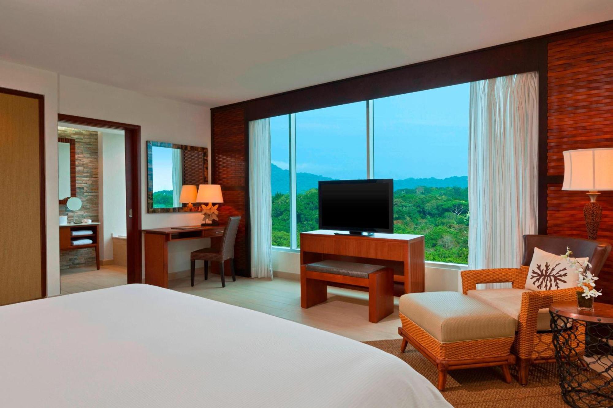 Deluxe Guest room 1 King Garden view