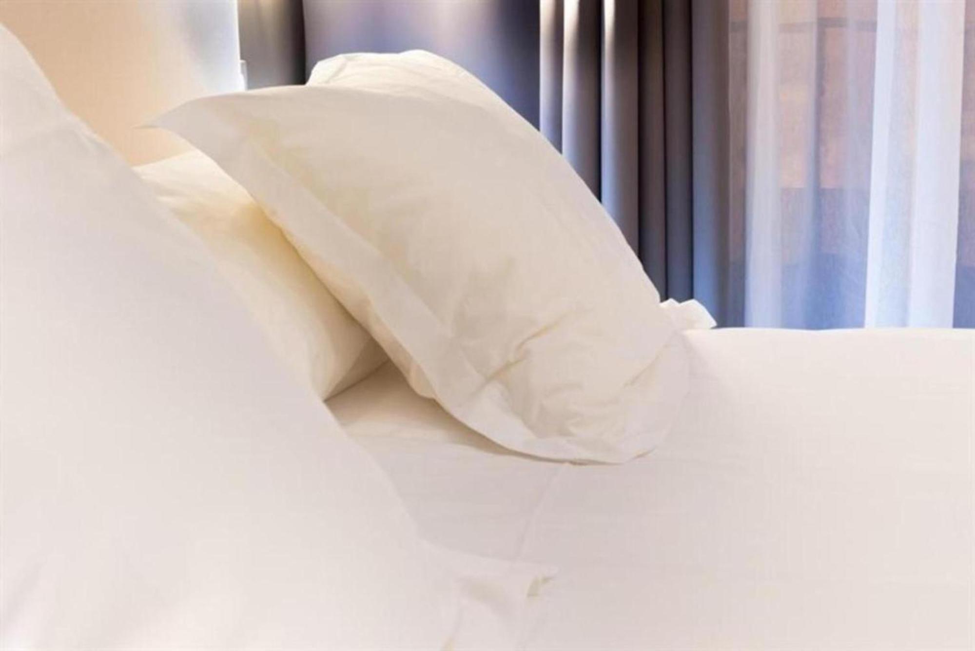 Standard PwD Disability Access 1 Queen Bed
