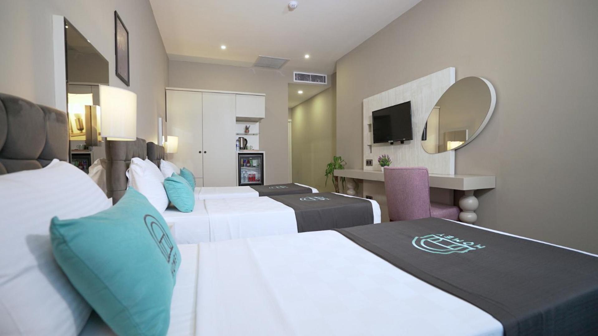 Basic Triple Room