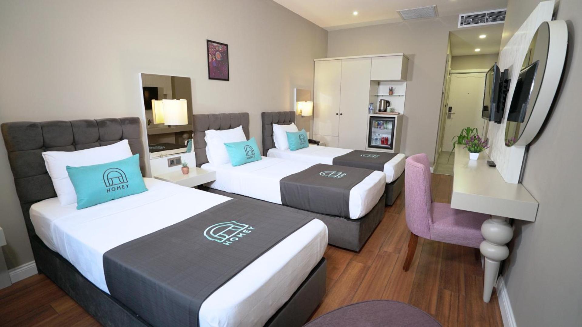 Basic Triple Room