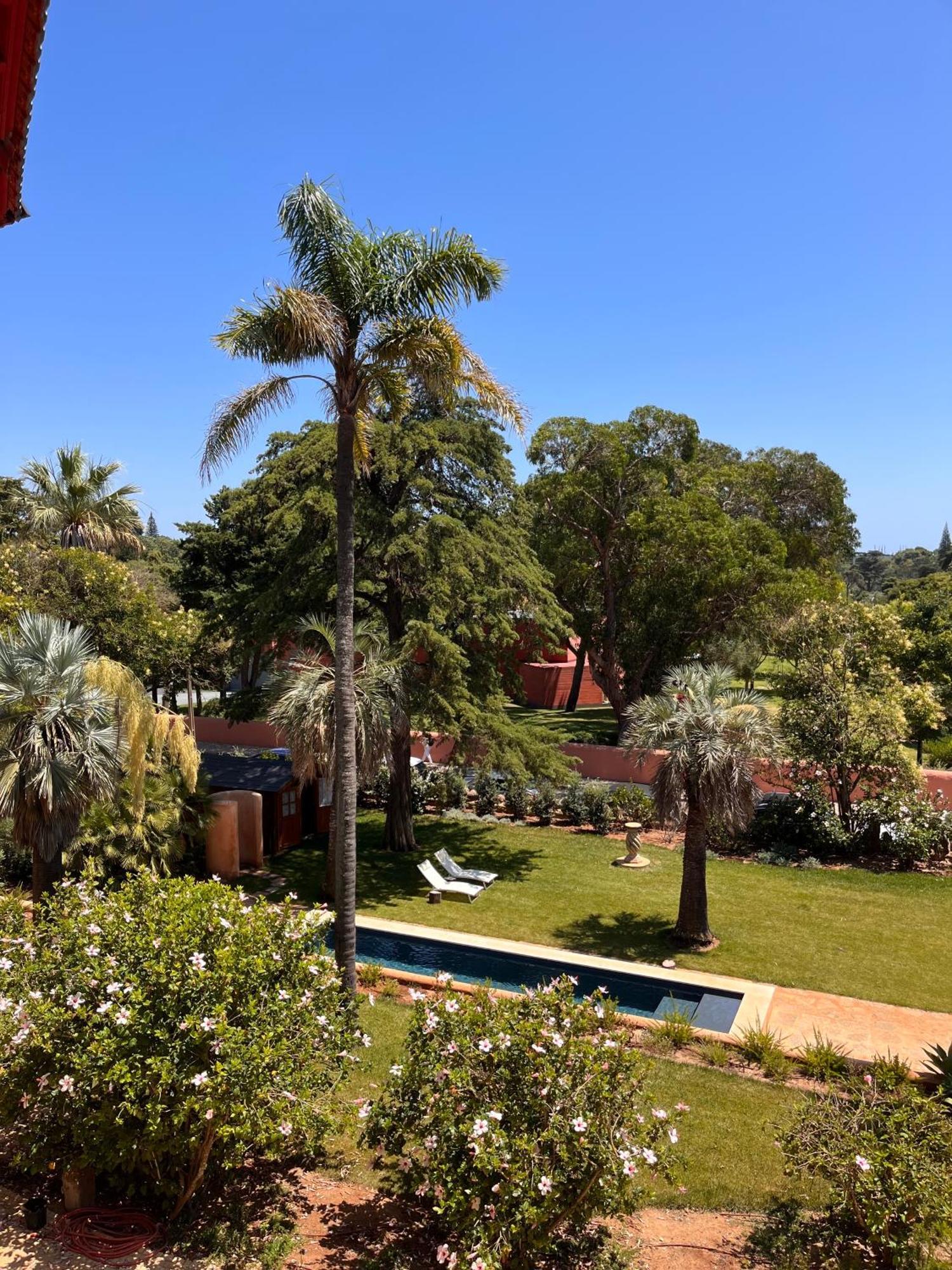 Superior King Room Garden View,1558385098:JPEG