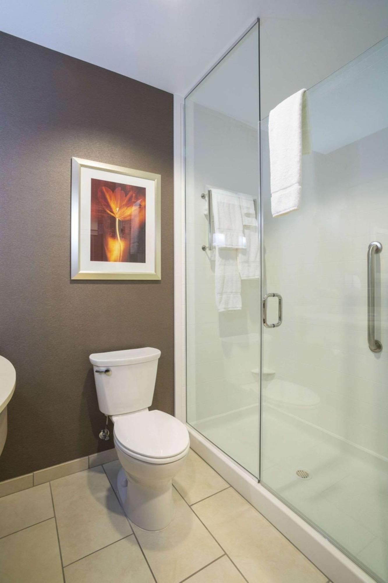 Junior King Suite with Sofa Bed