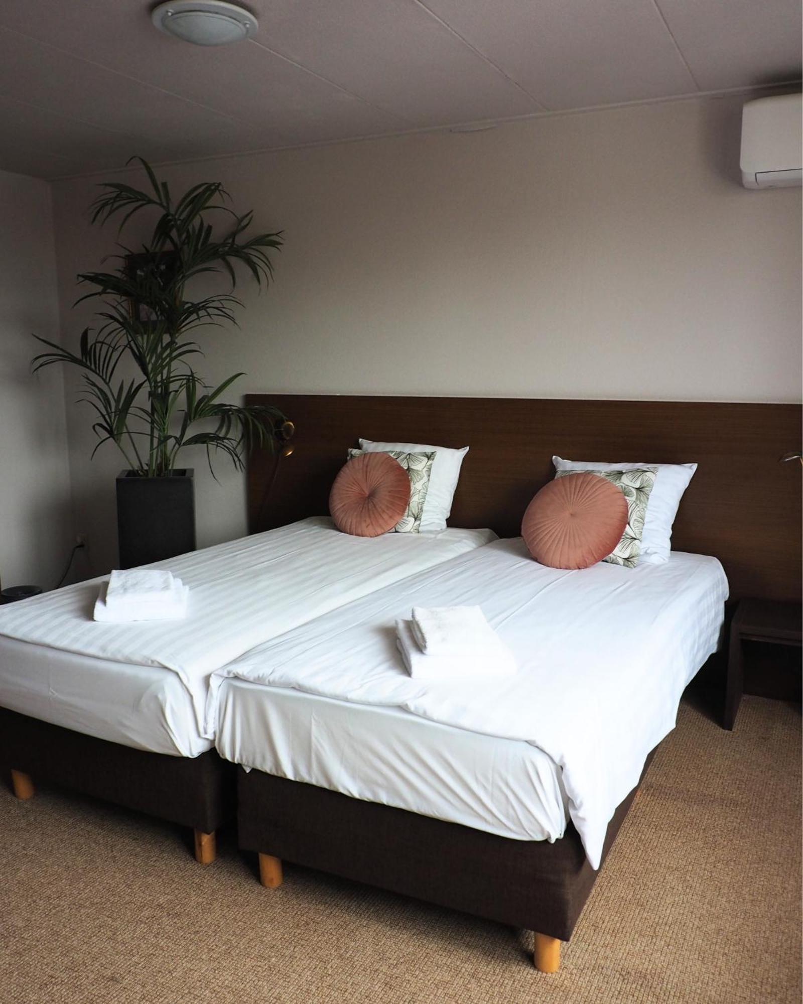 Standaard Kamer met 2 Bedden
