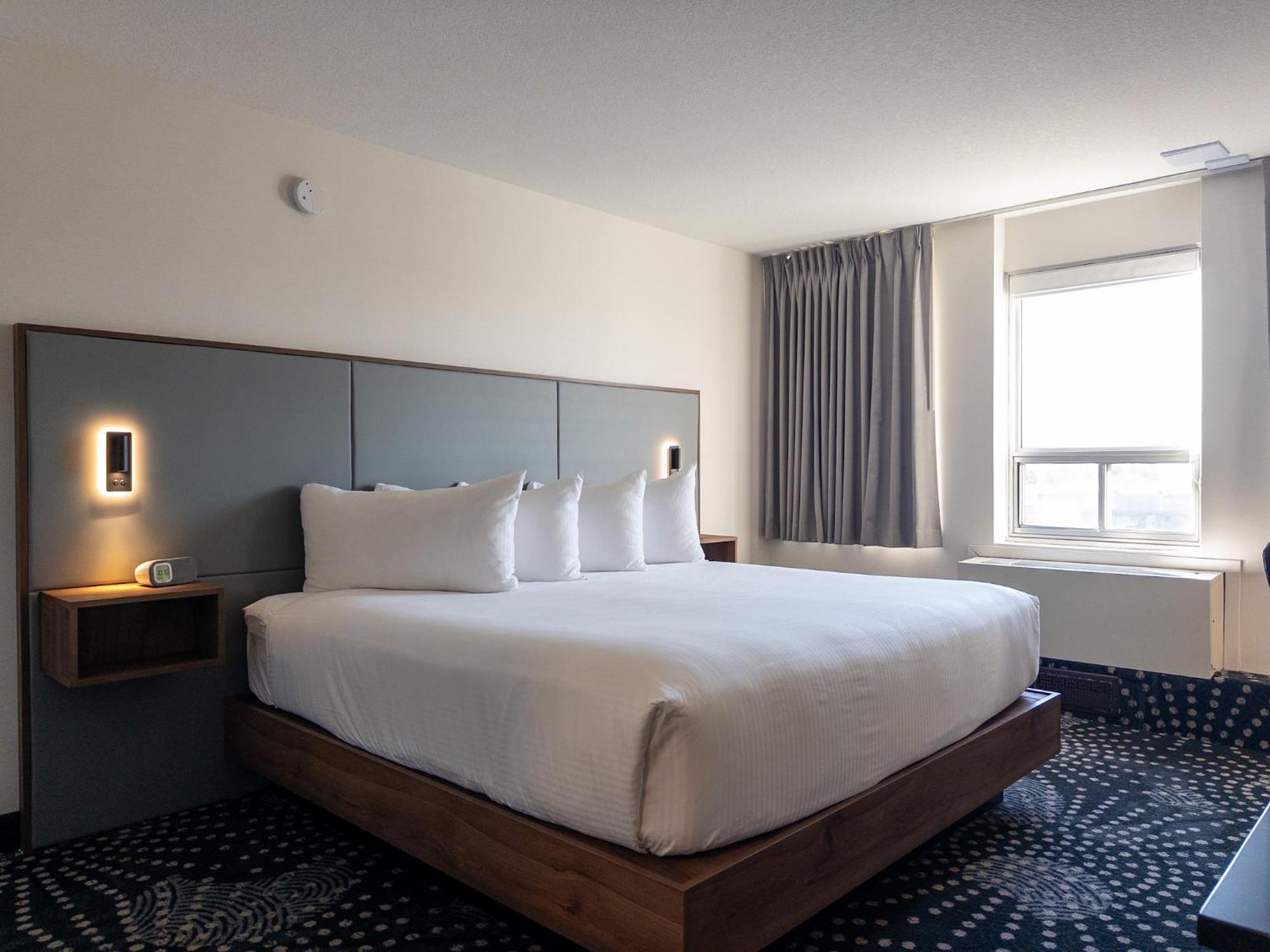 Standard One King Newly Renovated