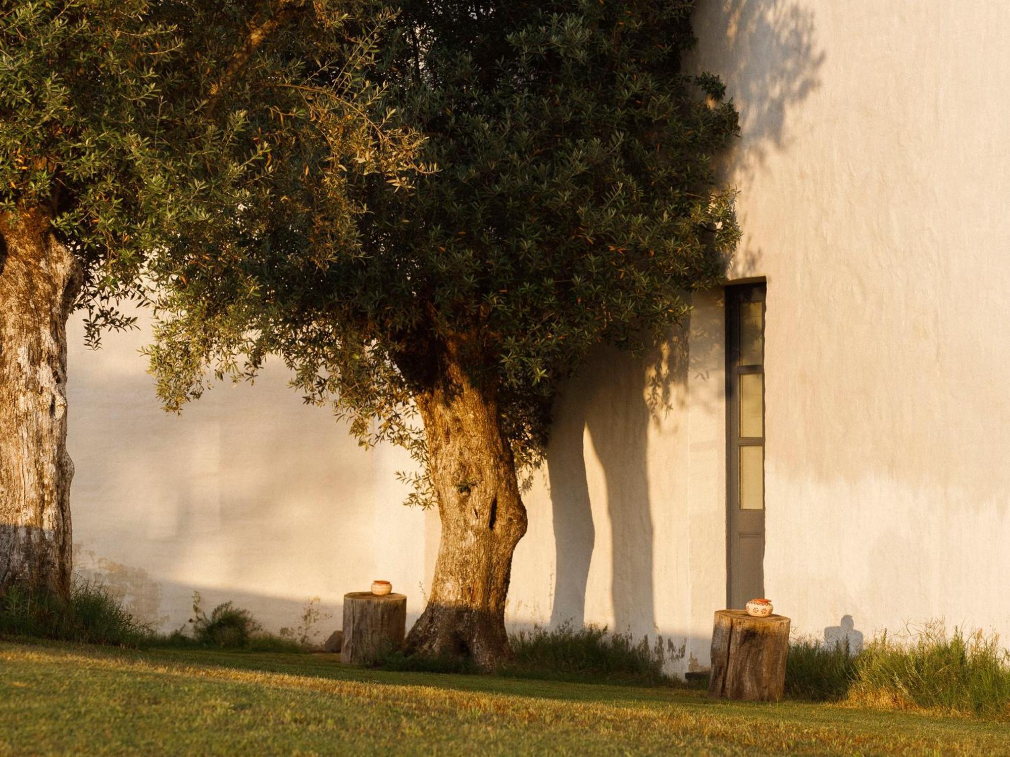 Twin or Double Room Winery