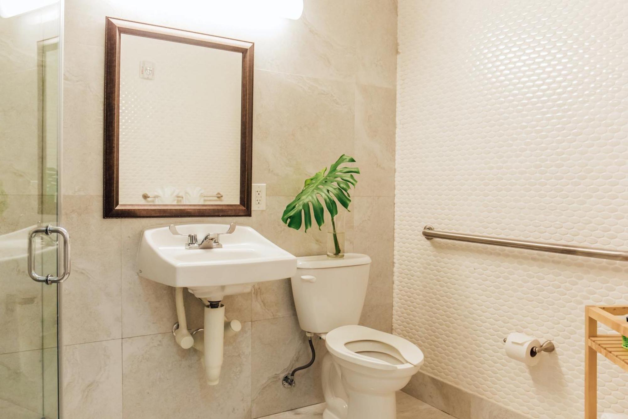 One Bedroom Apartment Accessible