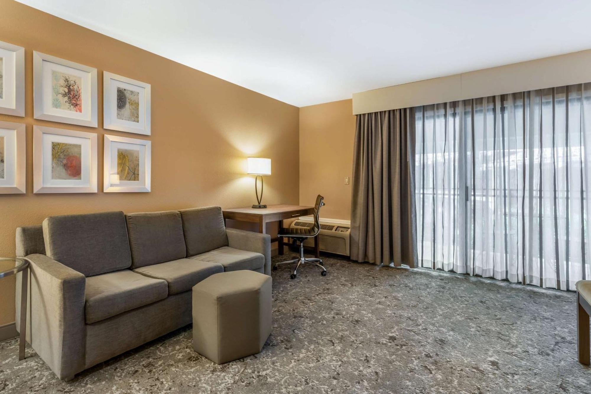 King Room Pet Friendly or Non-Smoking