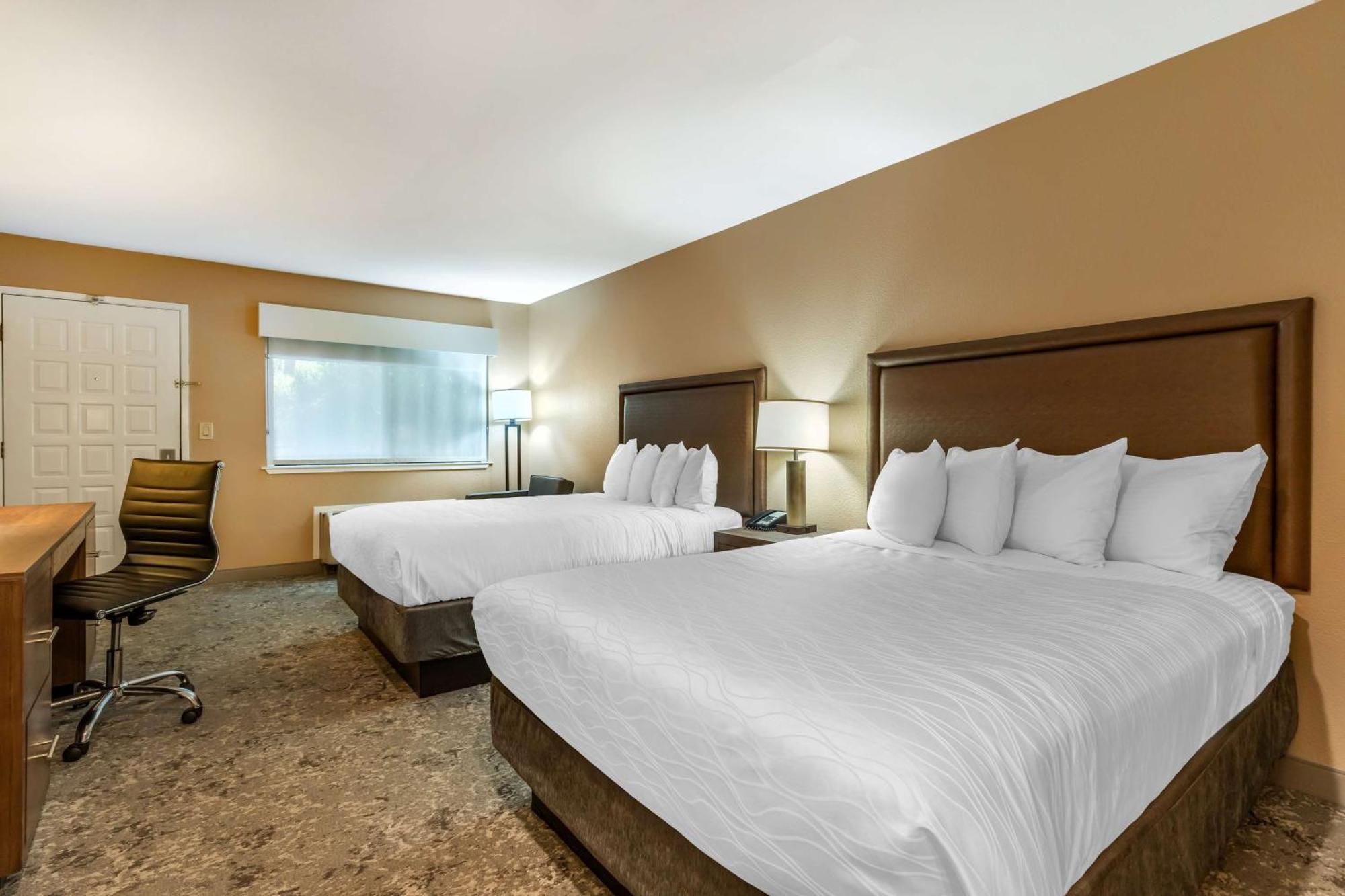 Queen Room Two Queen Beds Pet Friendly or Non-Smoking