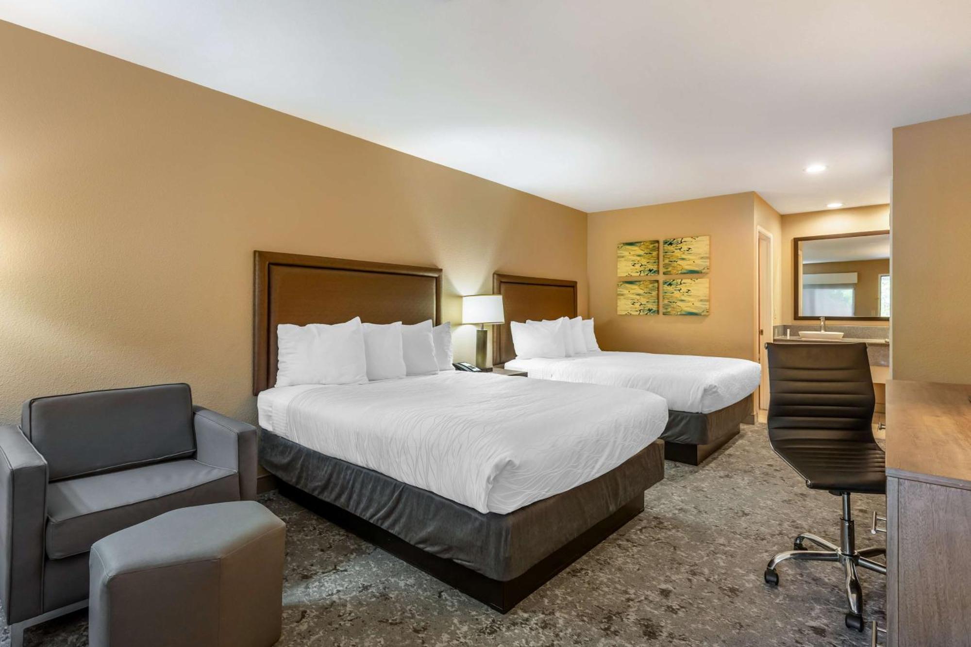 Queen Room Two Queen Beds Pet Friendly or Non-Smoking