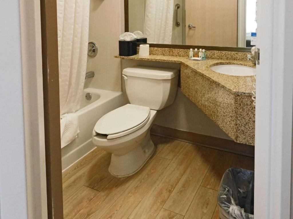 Double Room with Two Double Beds