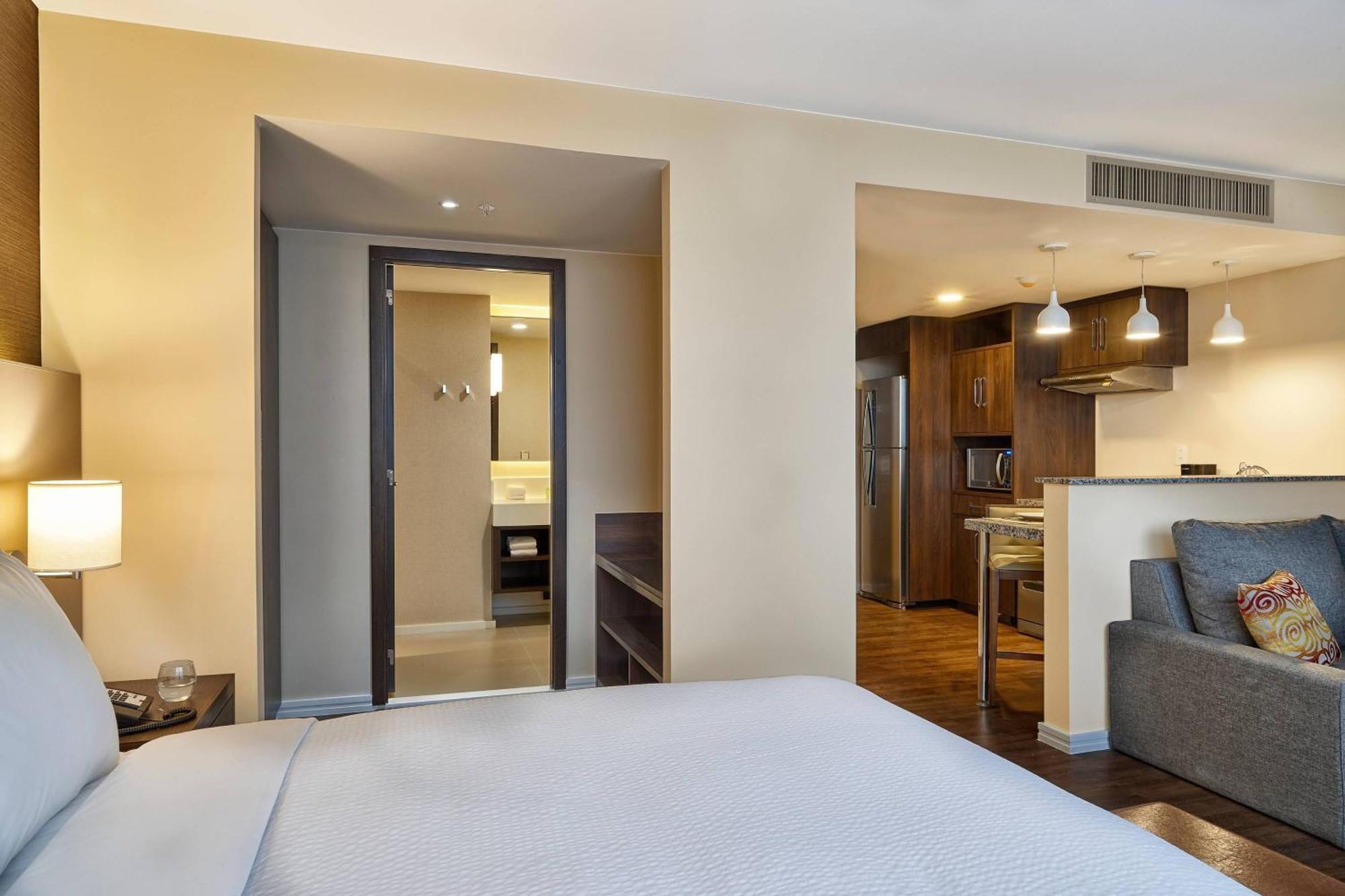 King Studio Apartment