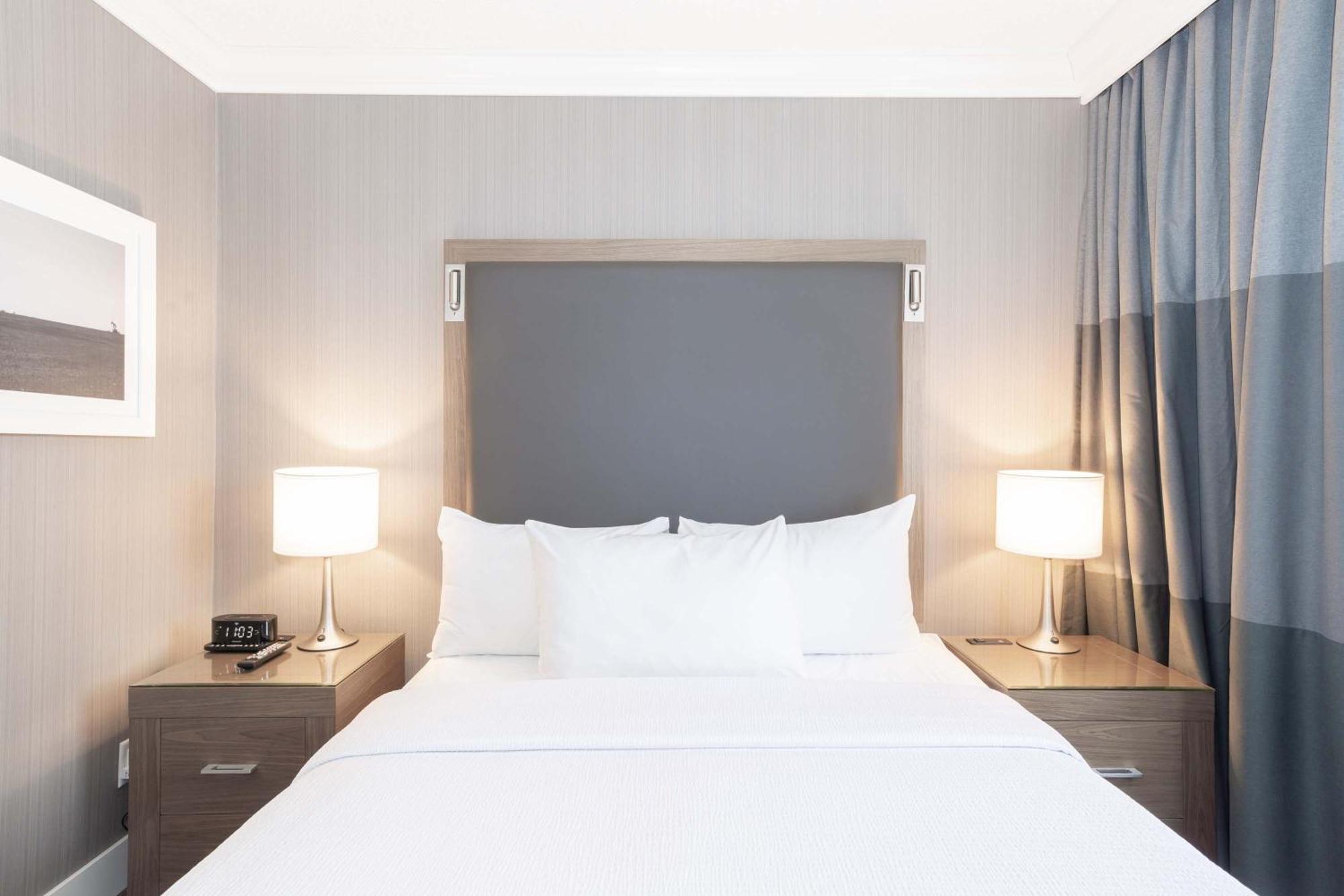 Standard Suite, 1 Queen Bed, Sofa Bed