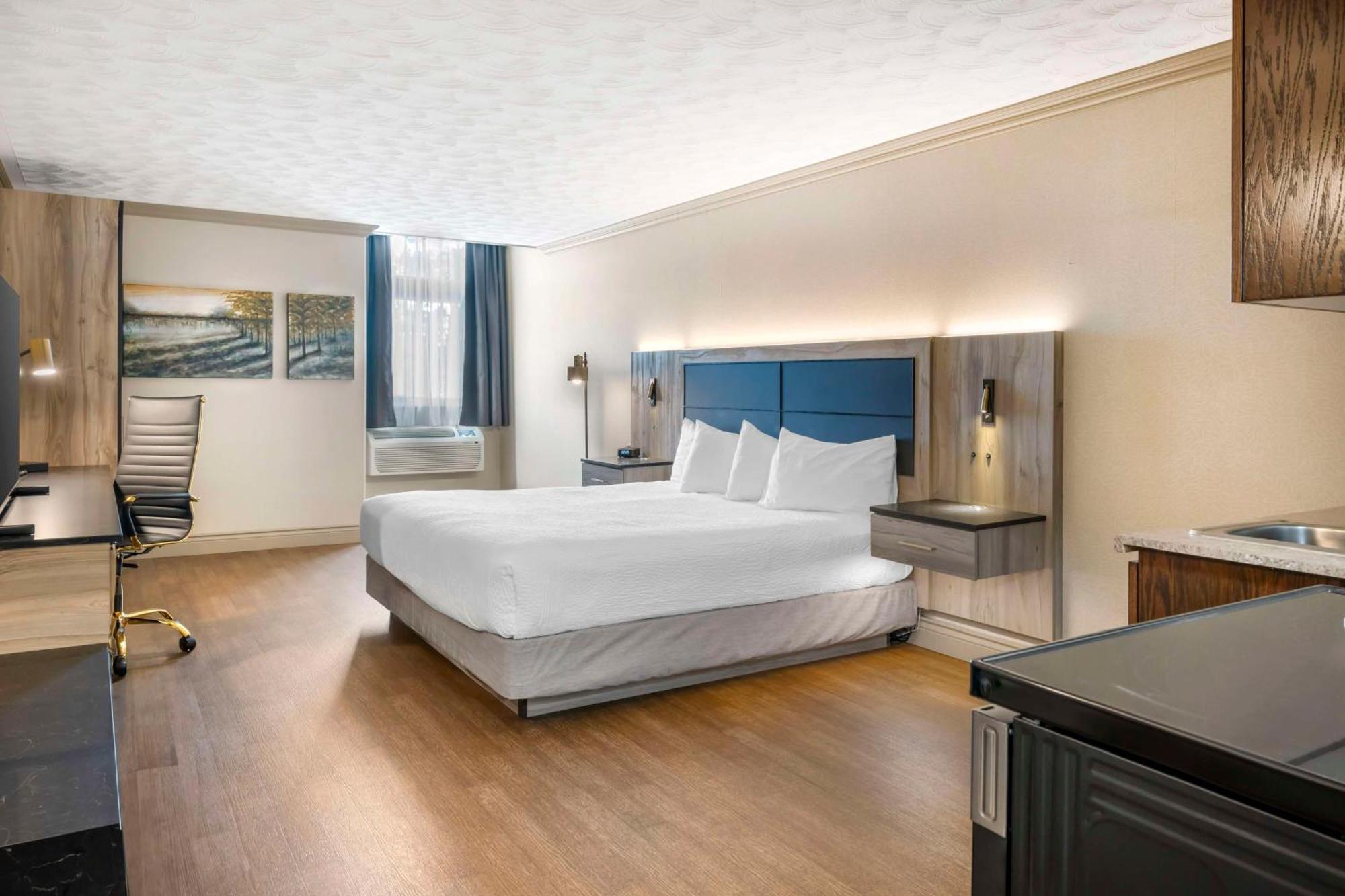 One-Bedroom King Suite with Sofa Bed and Kitchenette