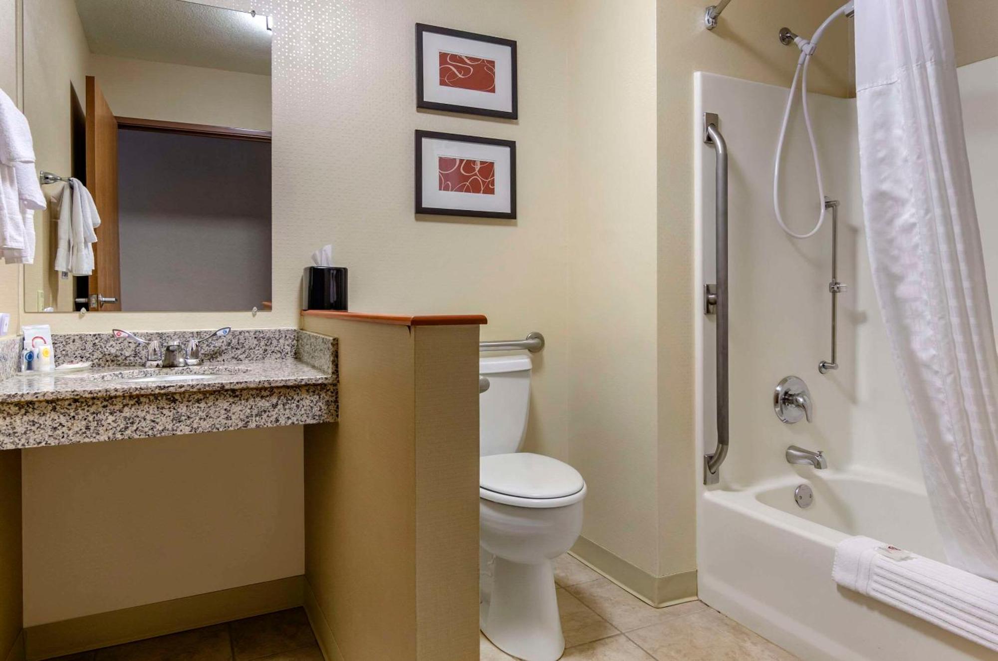 King Room Accessible or Non-Smoking