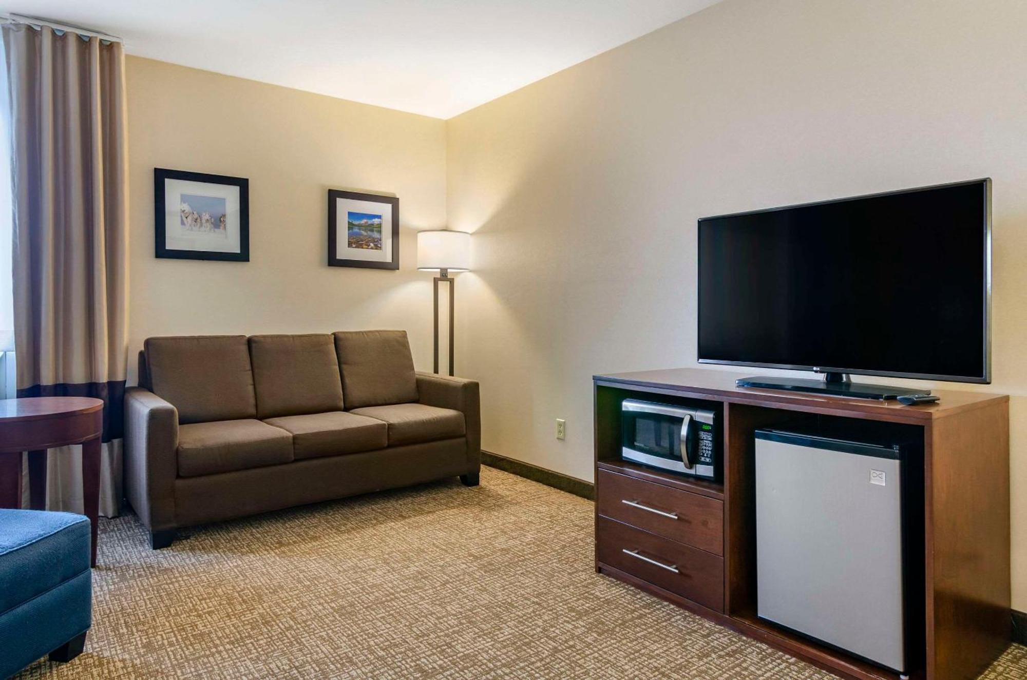 Large King Room Sofa Bed Non-Smoking