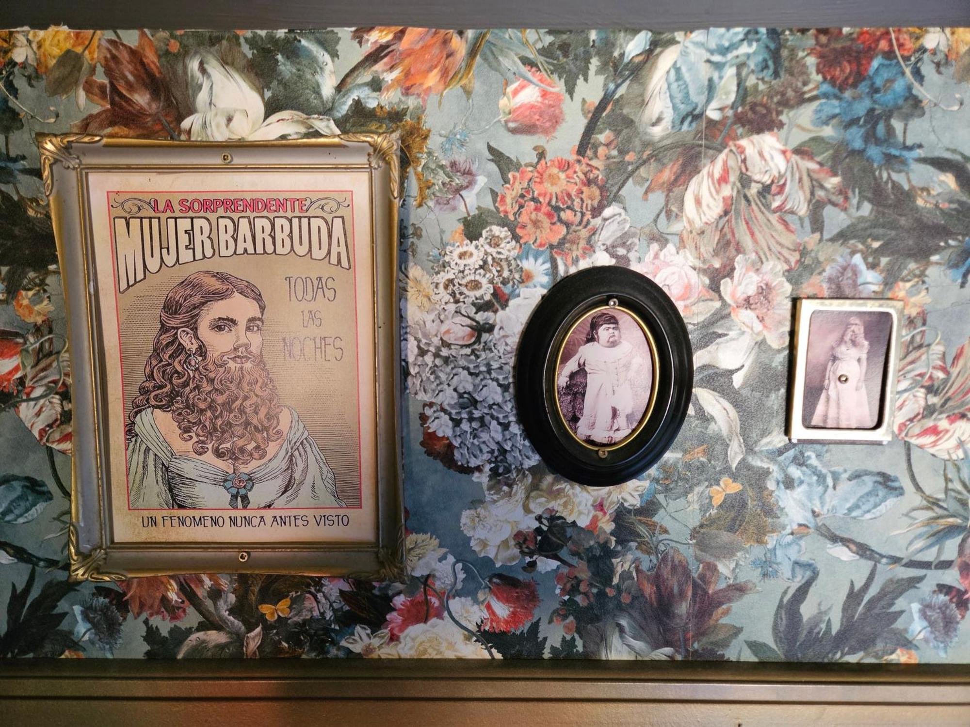 The Bearded Lady's Room