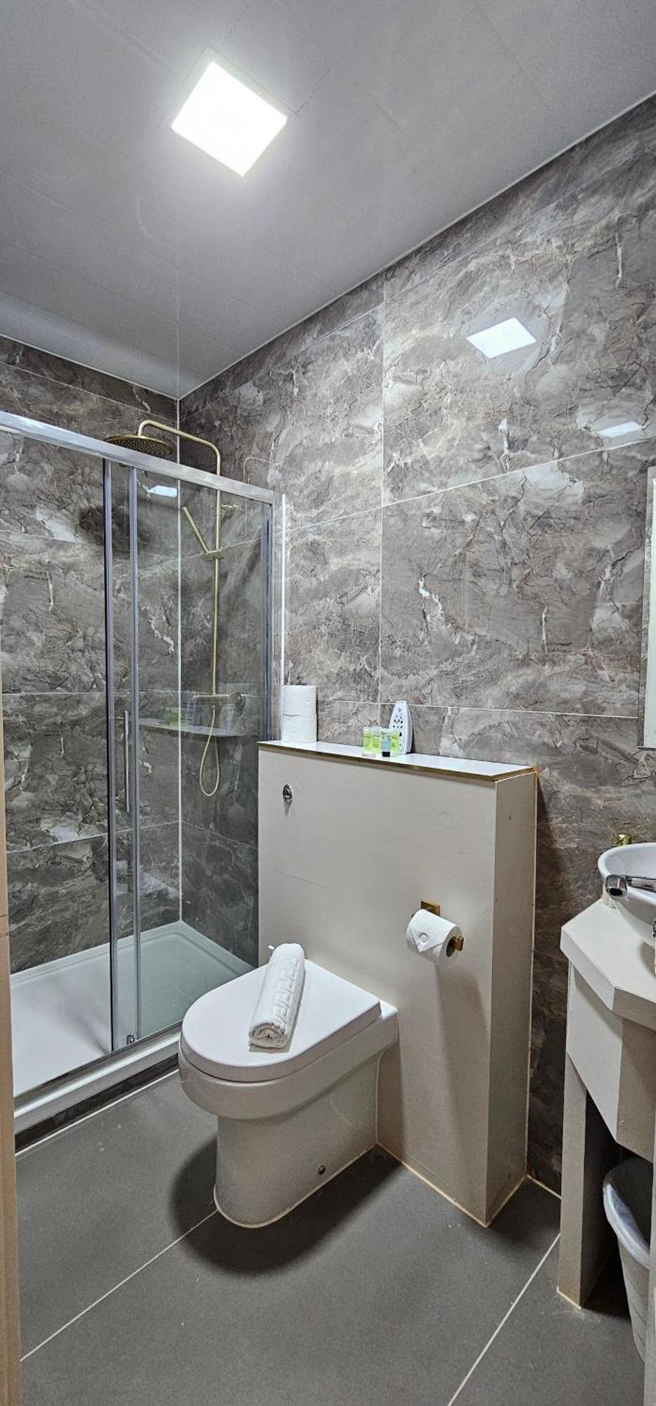 Deluxe Double Room Shower