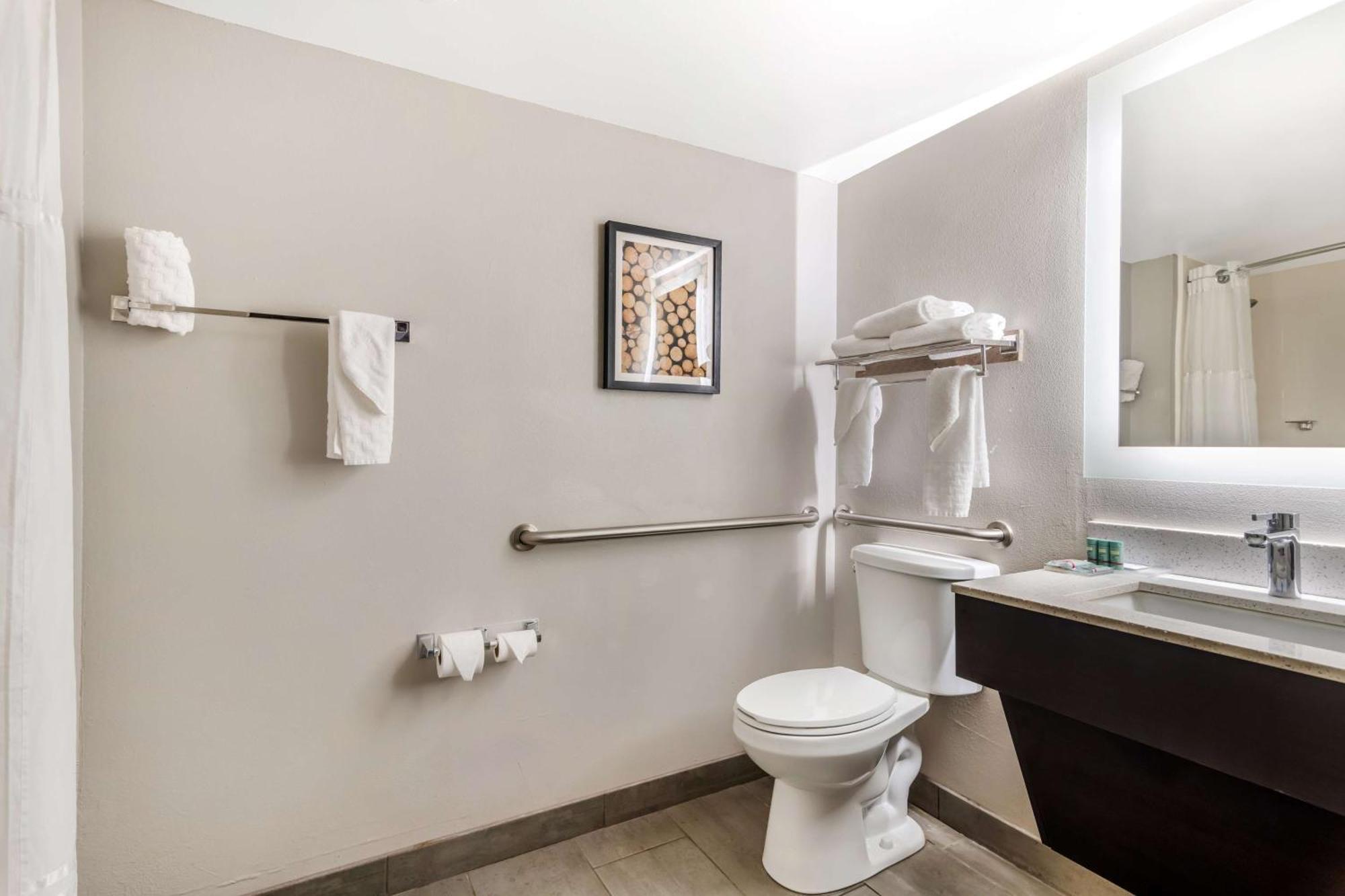 King Room with Walk-In Shower