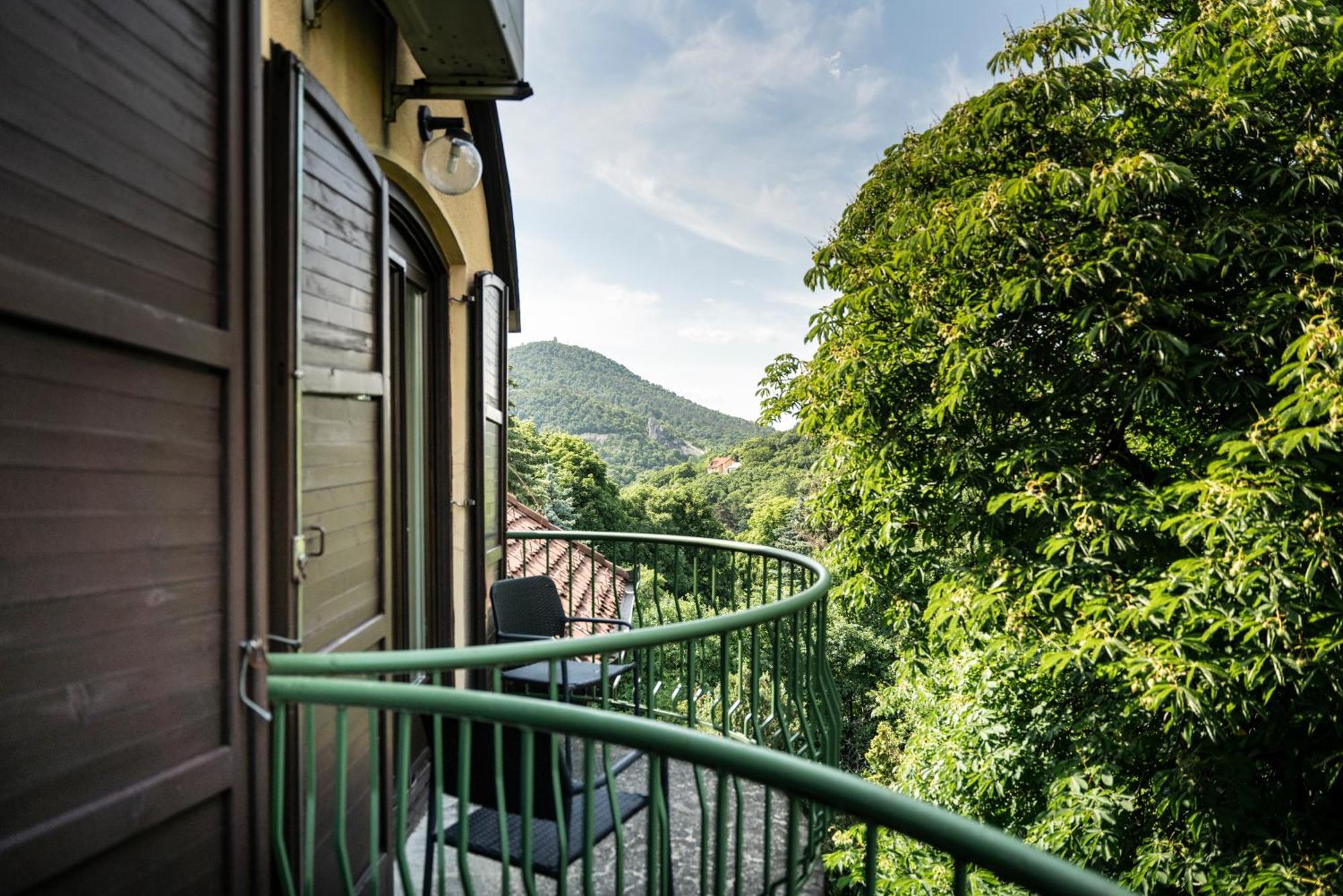 Double or Twin Room Balcony Mountain View