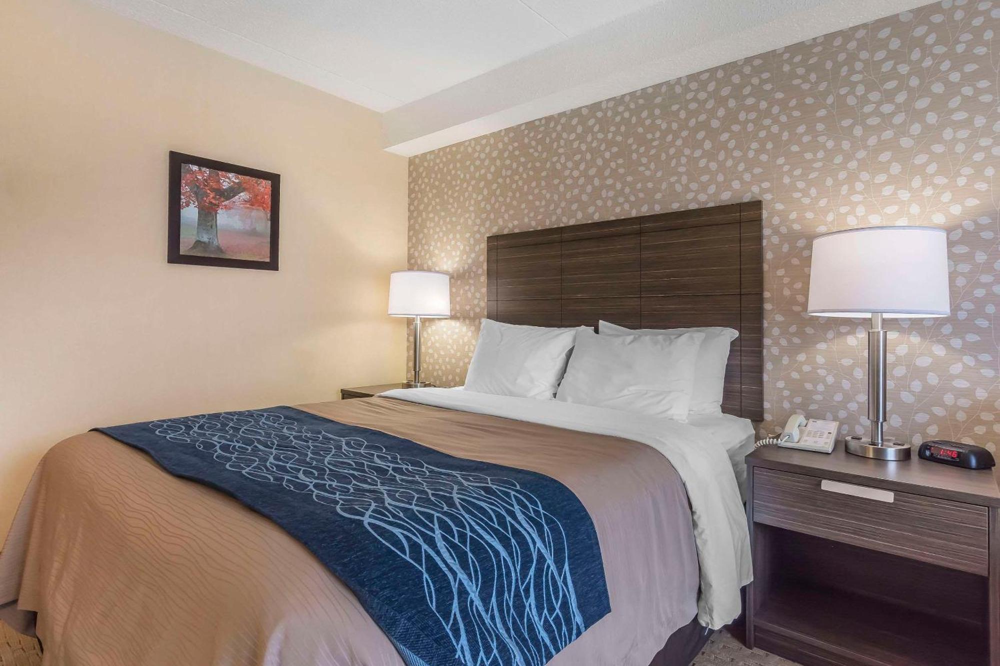 Chambre Lit Queen-Size Standard - Dernier Étage