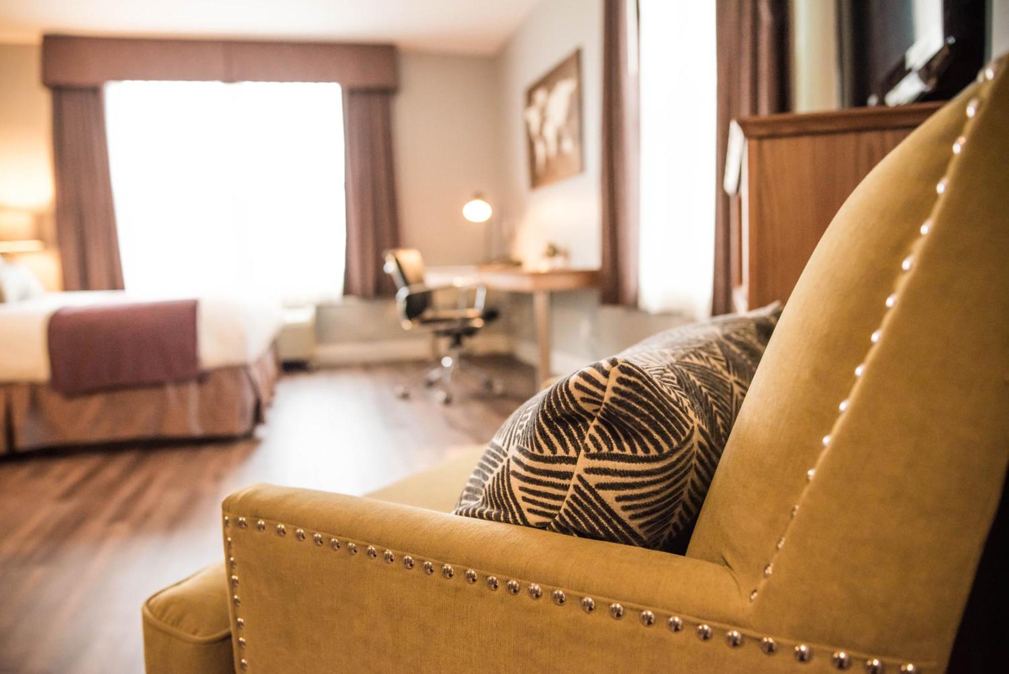 Estudio con cama extragrande