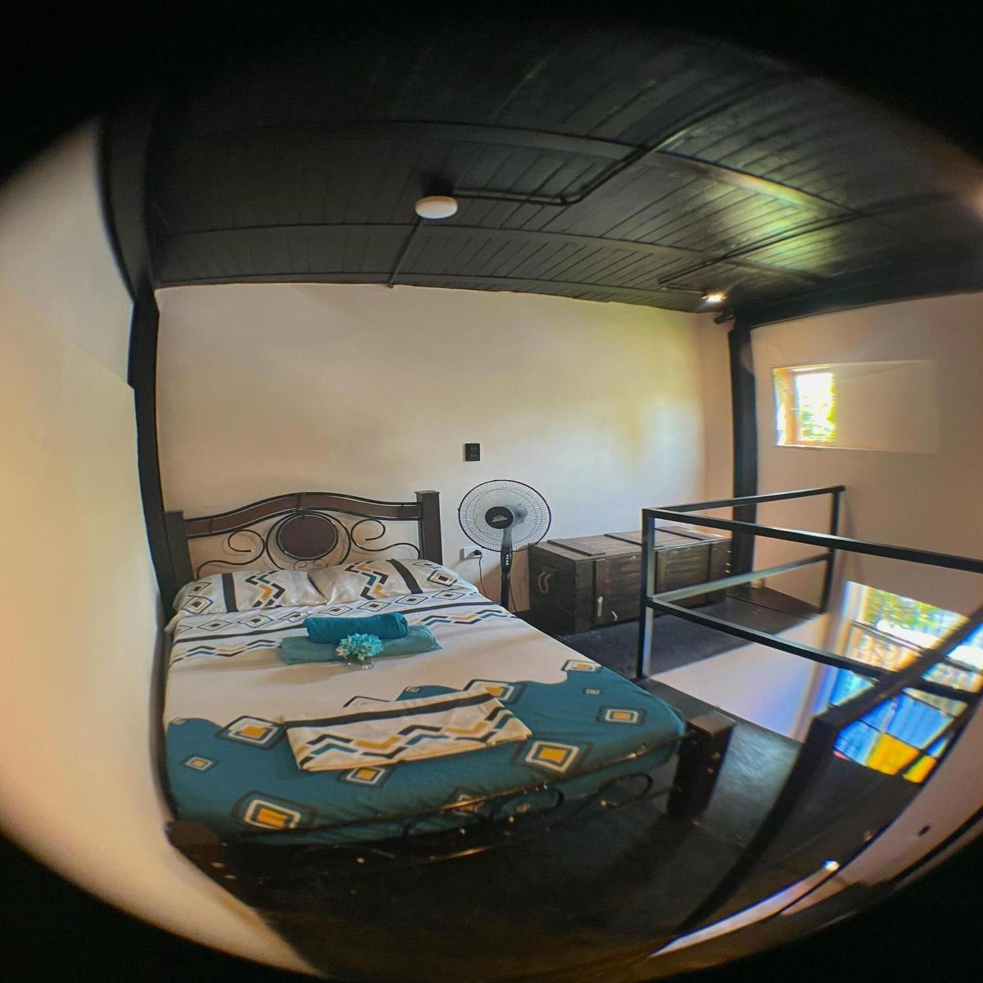 Estudio con 1 cama grande
