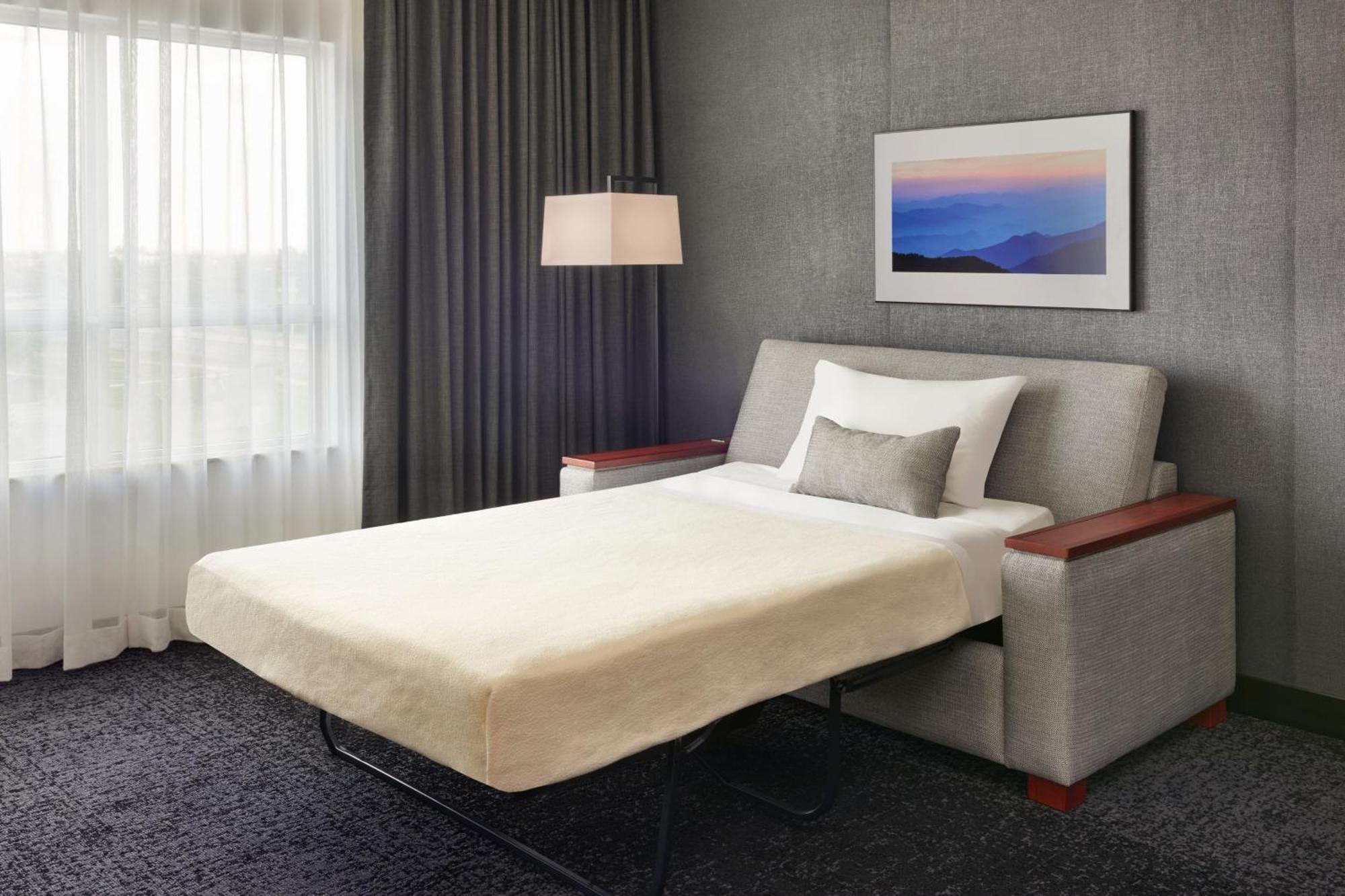 King Room Sofa Bed