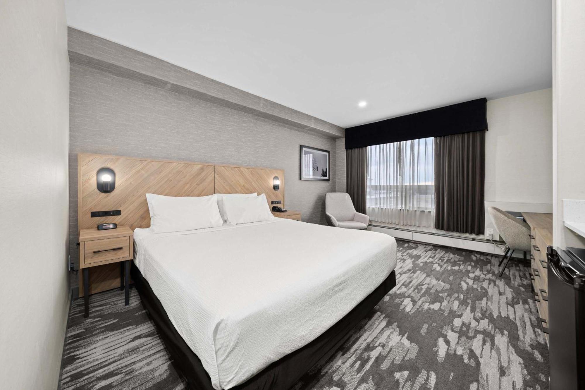 Standard Room 1 King Bed