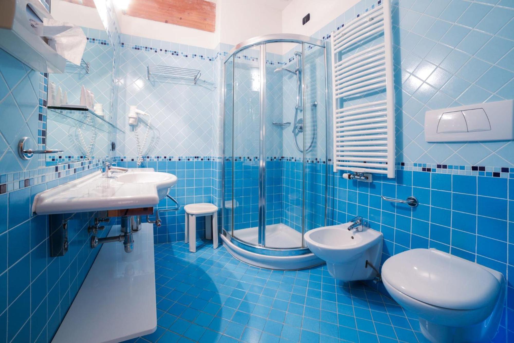 Superior Double or Twin Room Mountain View