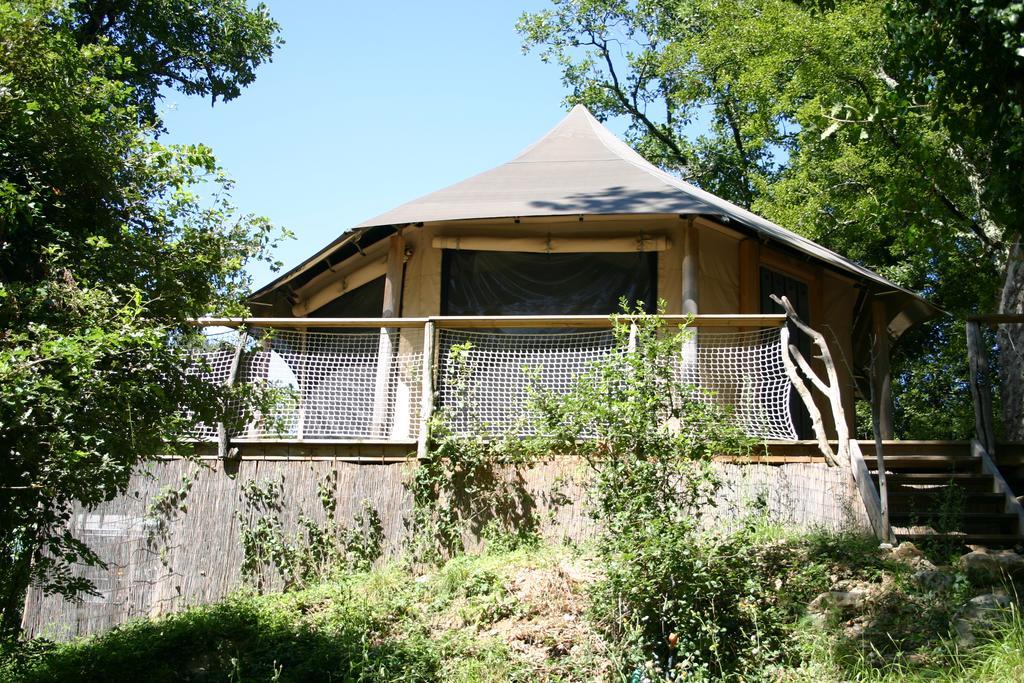Deluxe Double Lodge River View