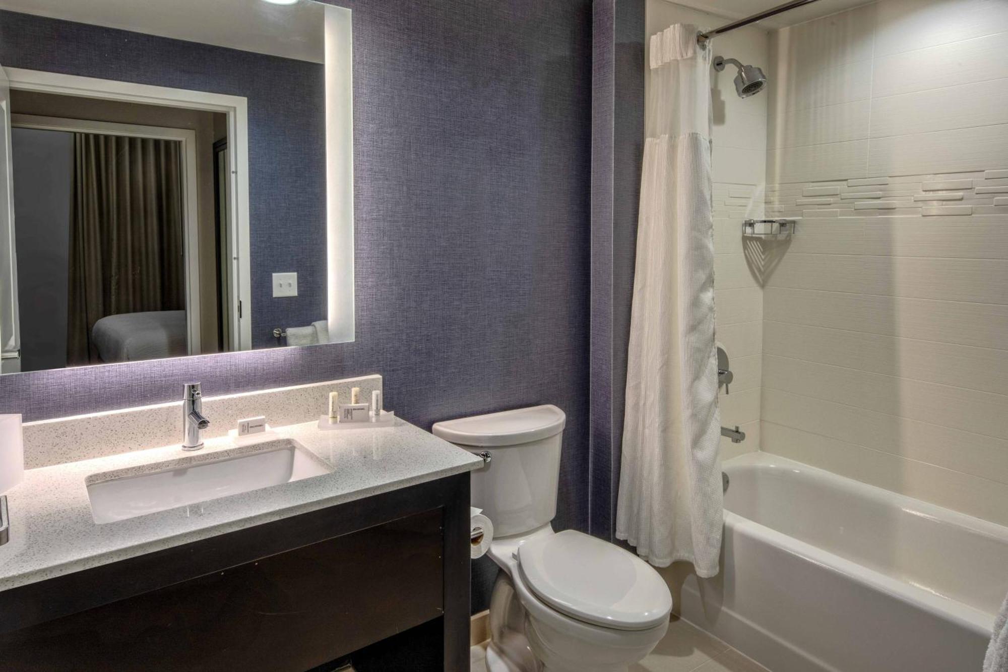 1 Bedroom Suite, 1 King, Sofa bed