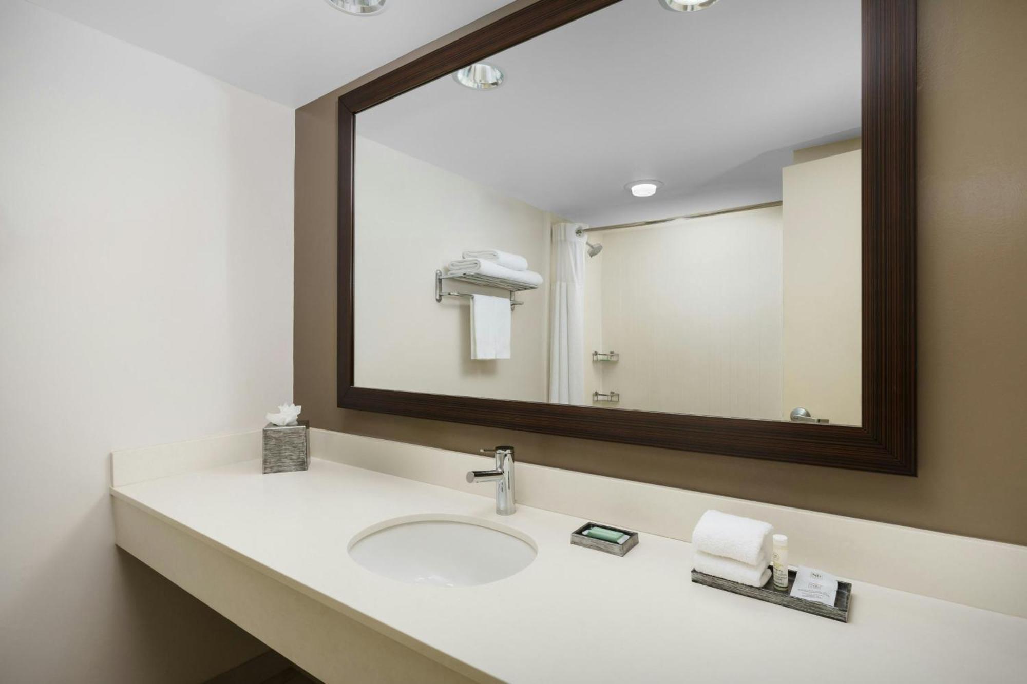 King Room Roll Shower Mobility Access or Hearing Accessible