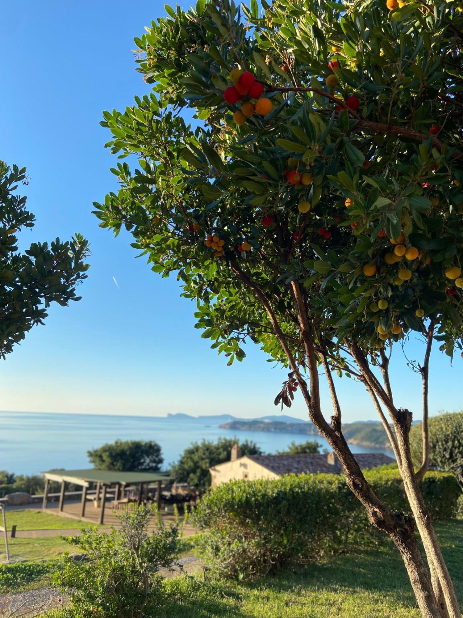 Junior Suite con Vista Mare