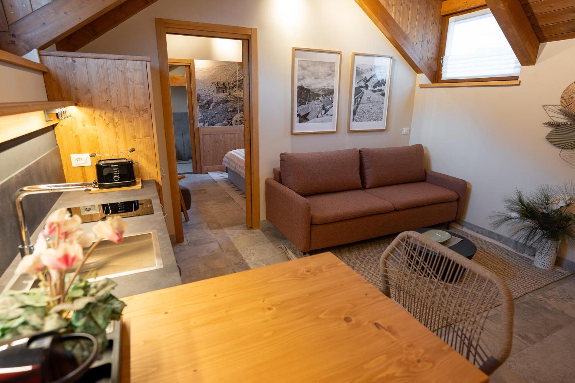 One-Bedroom Apartment Balcony Mountain View