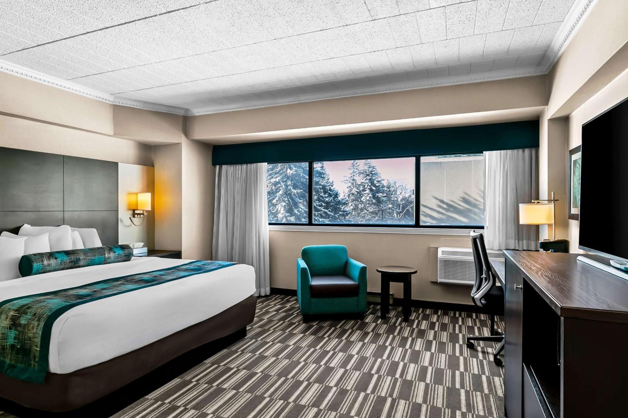 Executive King Room Non-Smoking