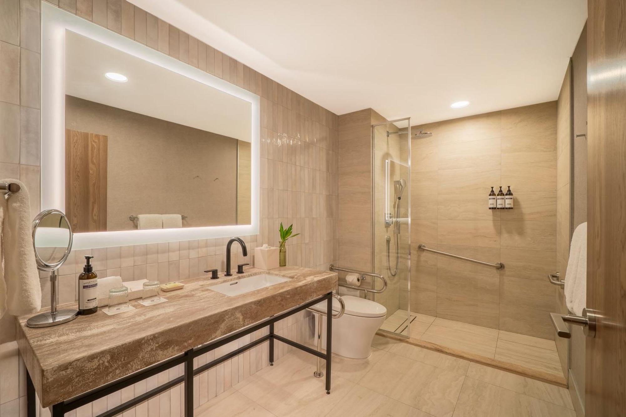 King Room Roll Shower Disability Access