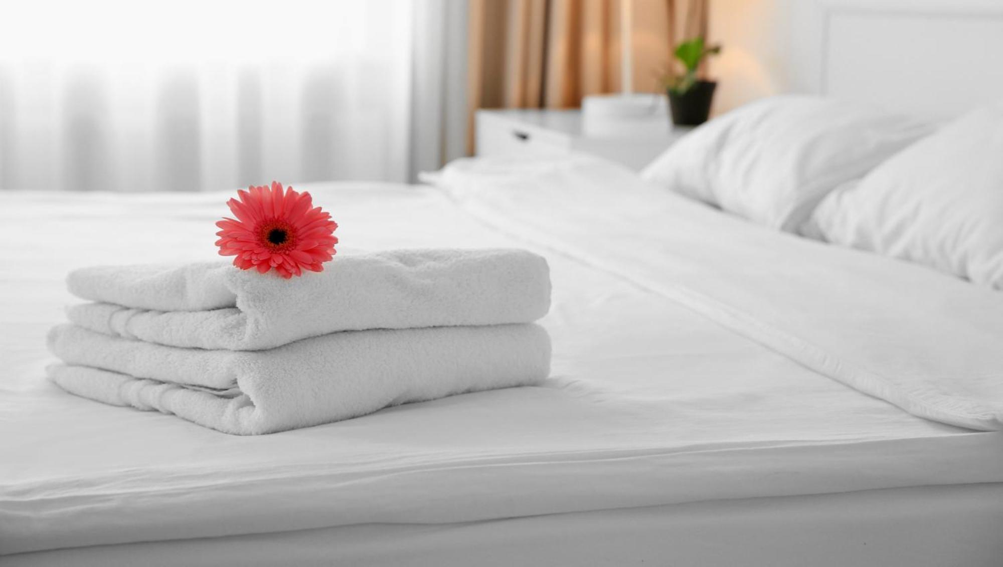 Two Queen Beds - Exterior Facing