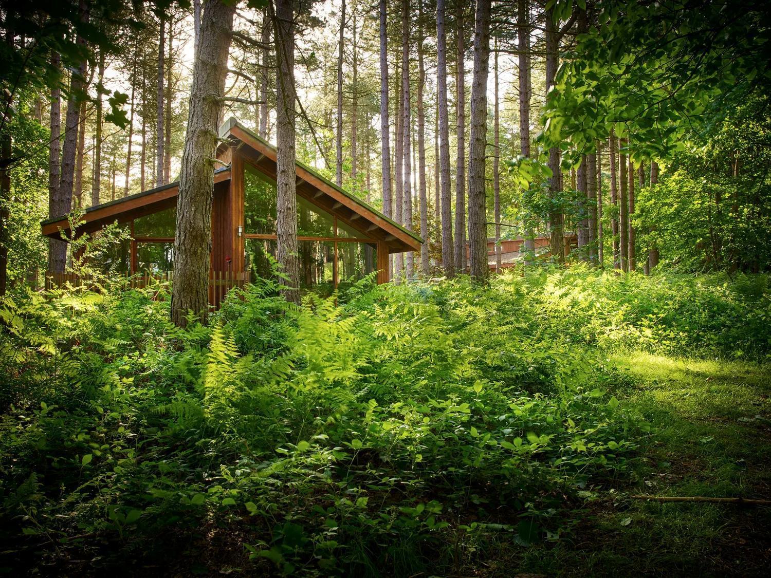 Silver Birch Cabin ( pet-friendly)