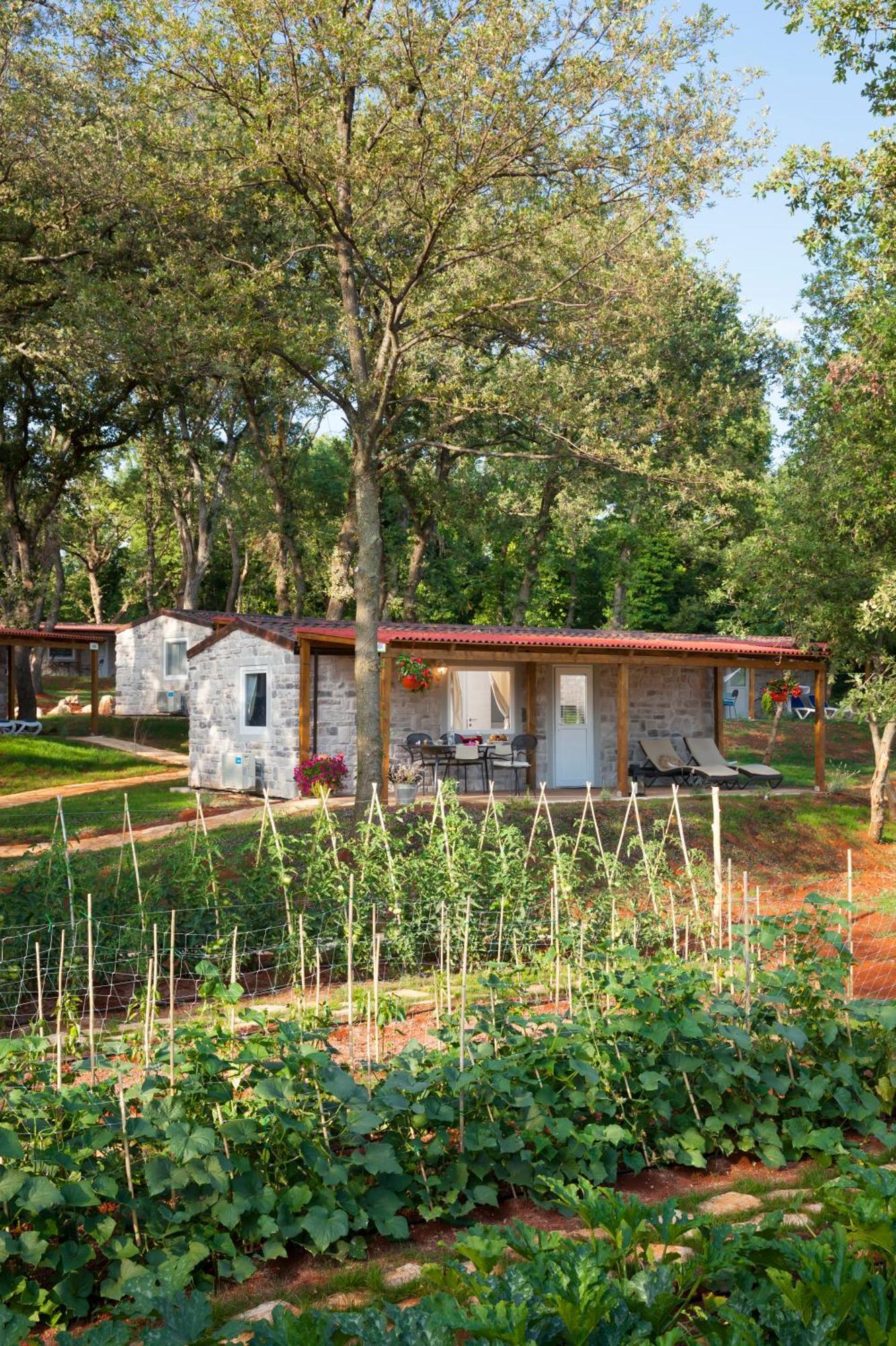 Casa Vacanze Maravea Premium