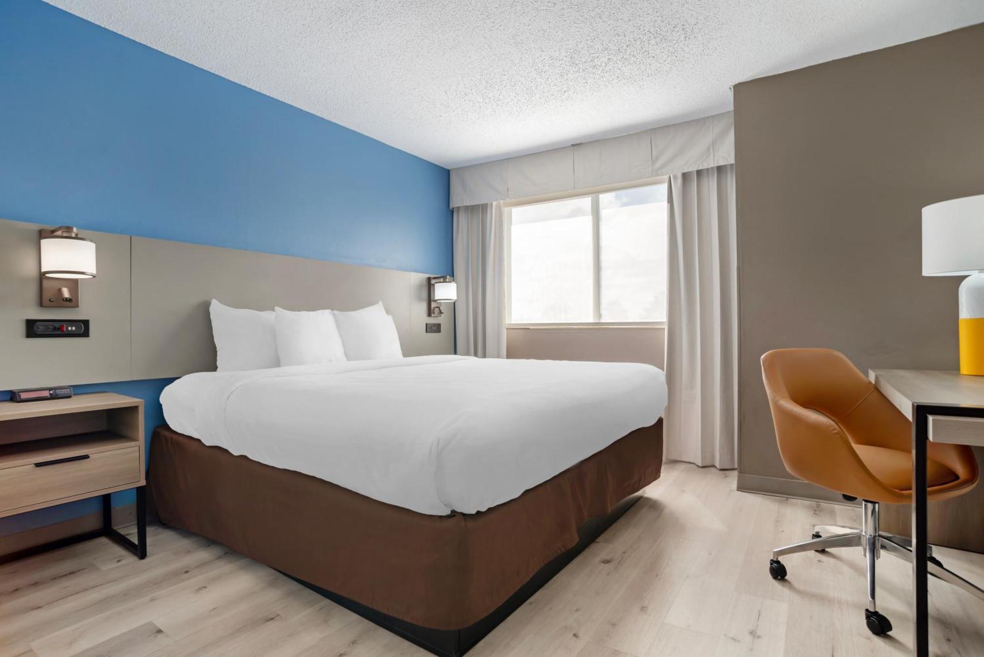 1 King Bed, 2 - Person Sofabed