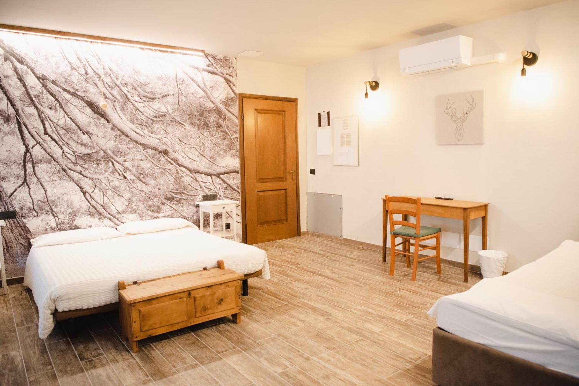 Standard Suite