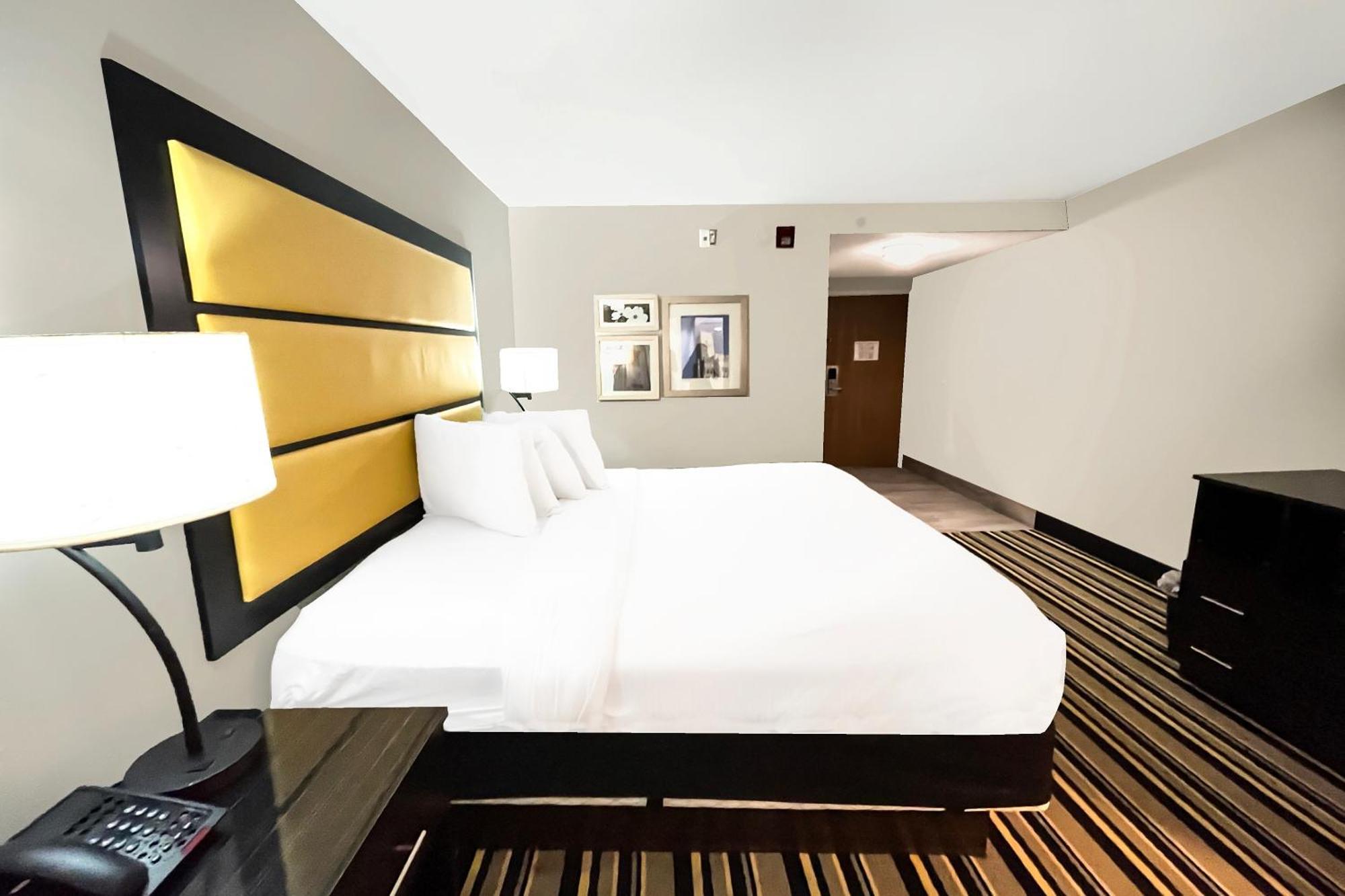 Suite - King Bed