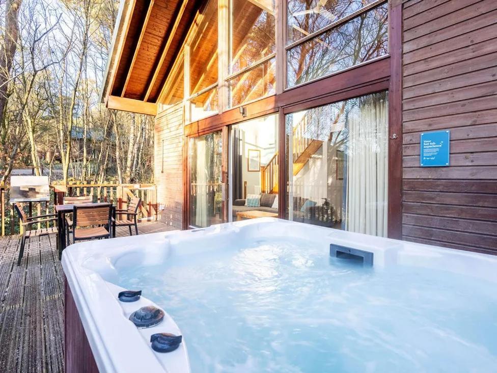 Silver Birch Cabin,1658679807:JPEG