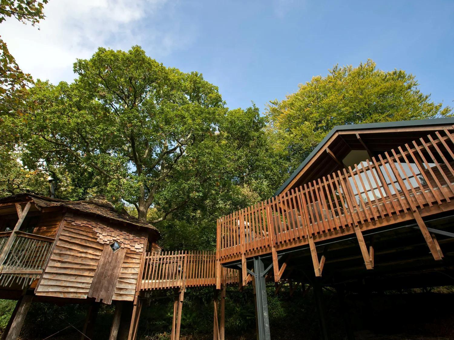 Golden Oak Treehouse