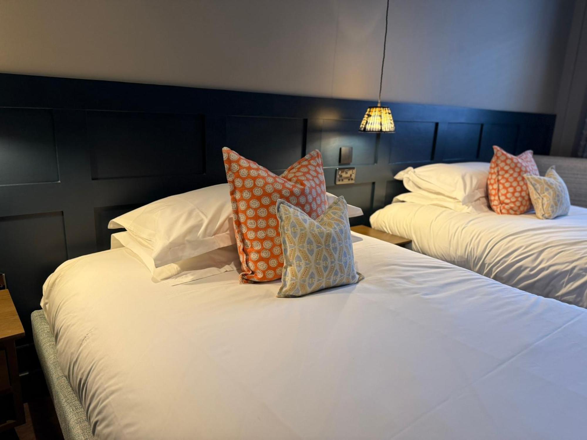 Pet Friendly Twin (Two 4ft Queen Beds)